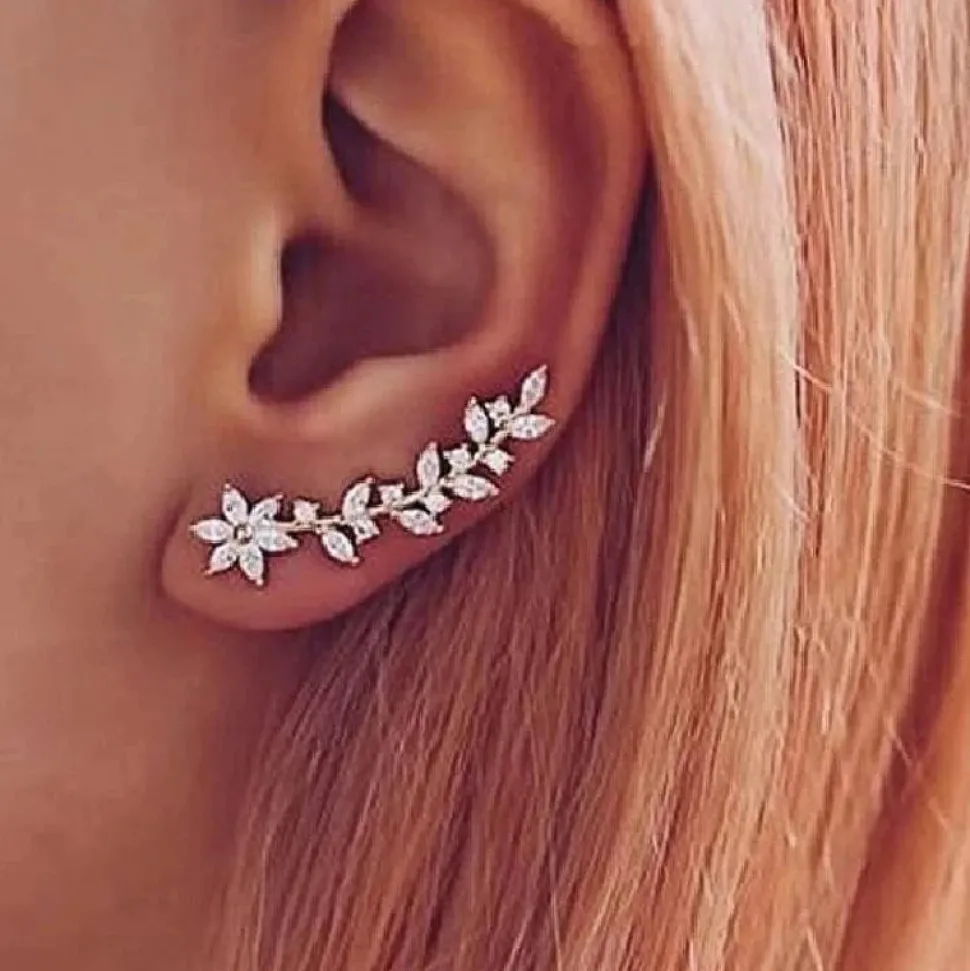 Boucles d'oreilles grimpantes zircons