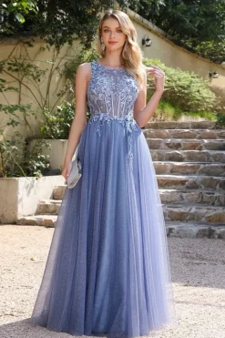 Robe en tulle bleue princesse